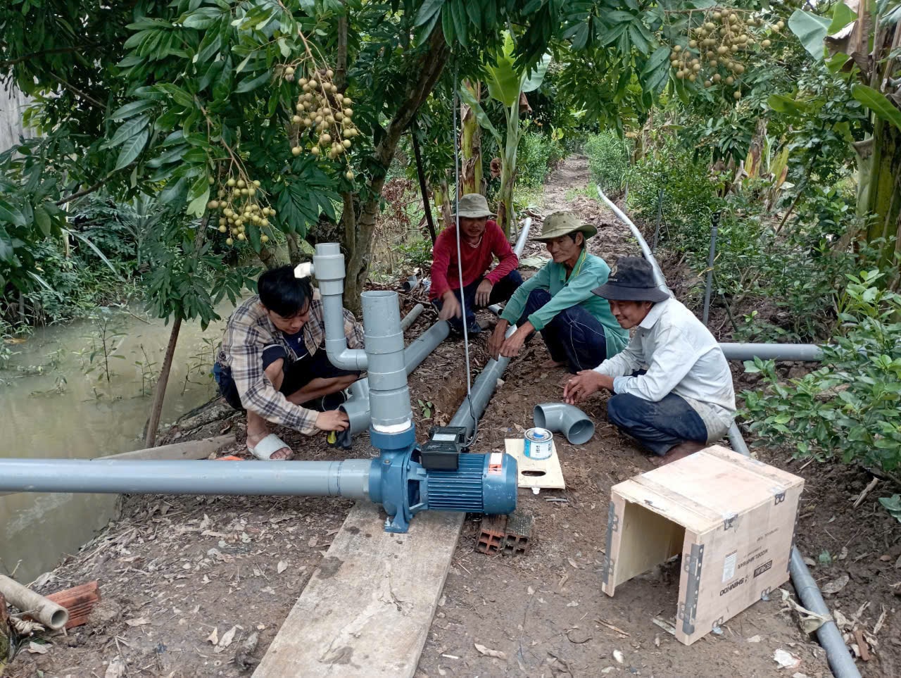 Ông Sáu công với thiết bị tưới tự động