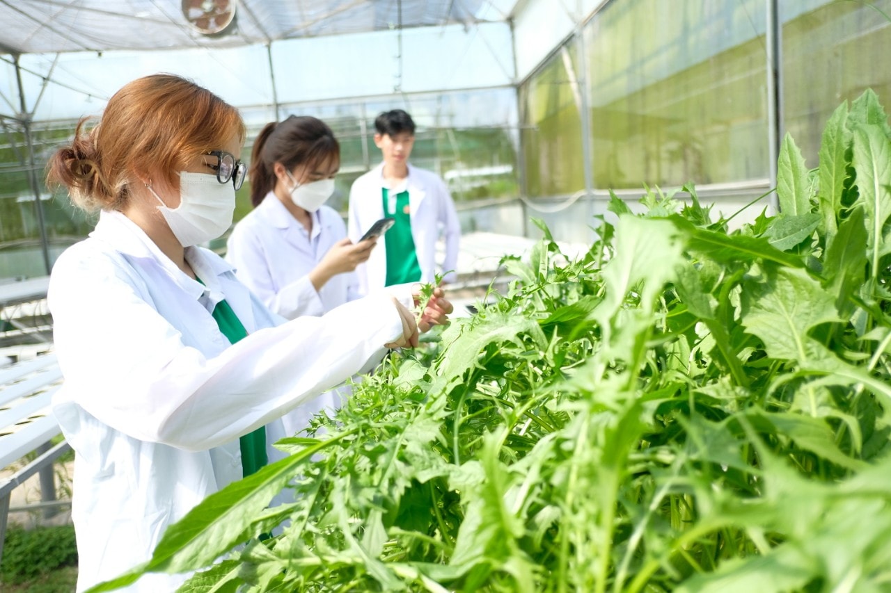Sinh viên ngành nông nghiệp ở ĐBSCL thực nghiệm - Ảnh: T.