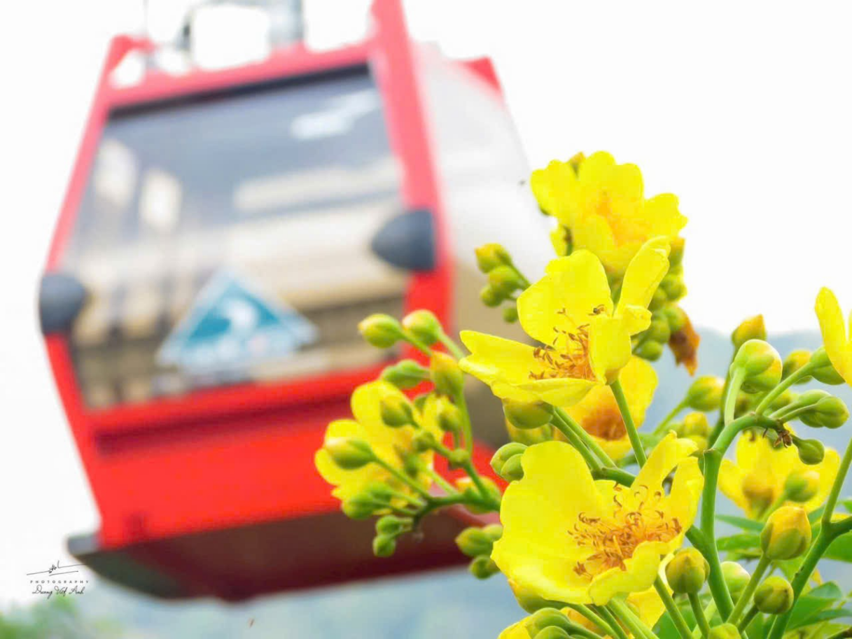 Bay giữa tầng không cùng cáp treo Núi Cấm