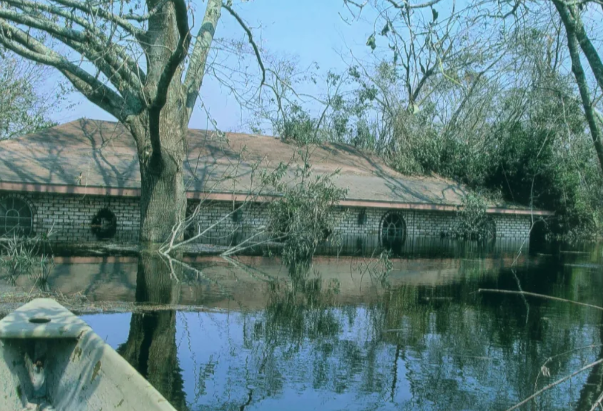 Ảnh màn hình 2025-09-01 lúc 08.17.56