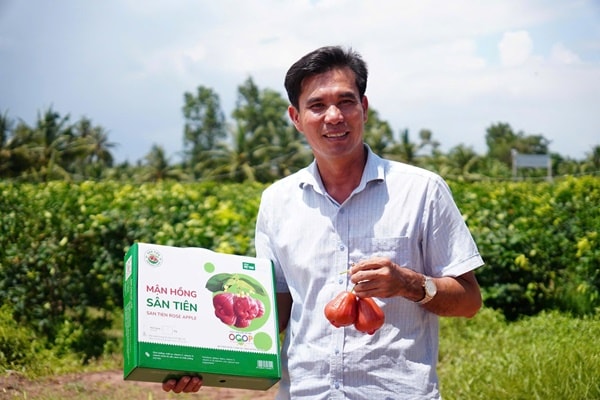 Mận 1