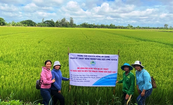 3 mỹ thới3