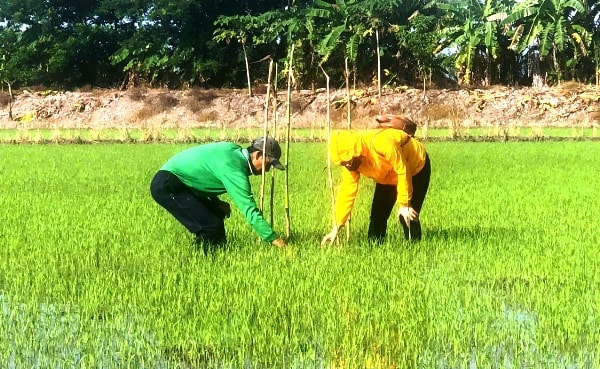 6 mỹ thới6