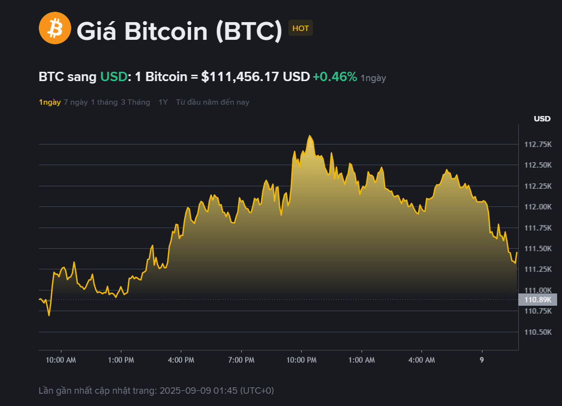 Giá BTC hôm nay 3