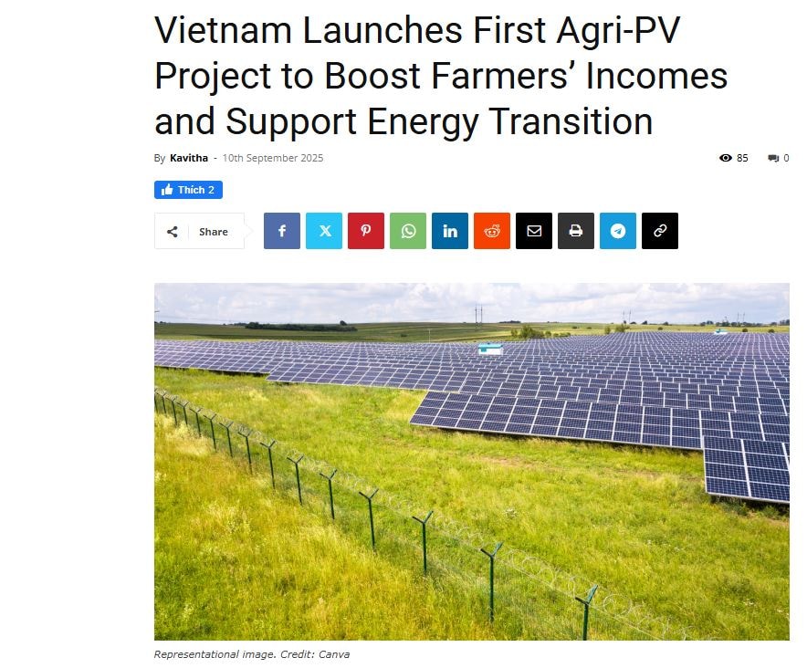 vietnam2.jpg