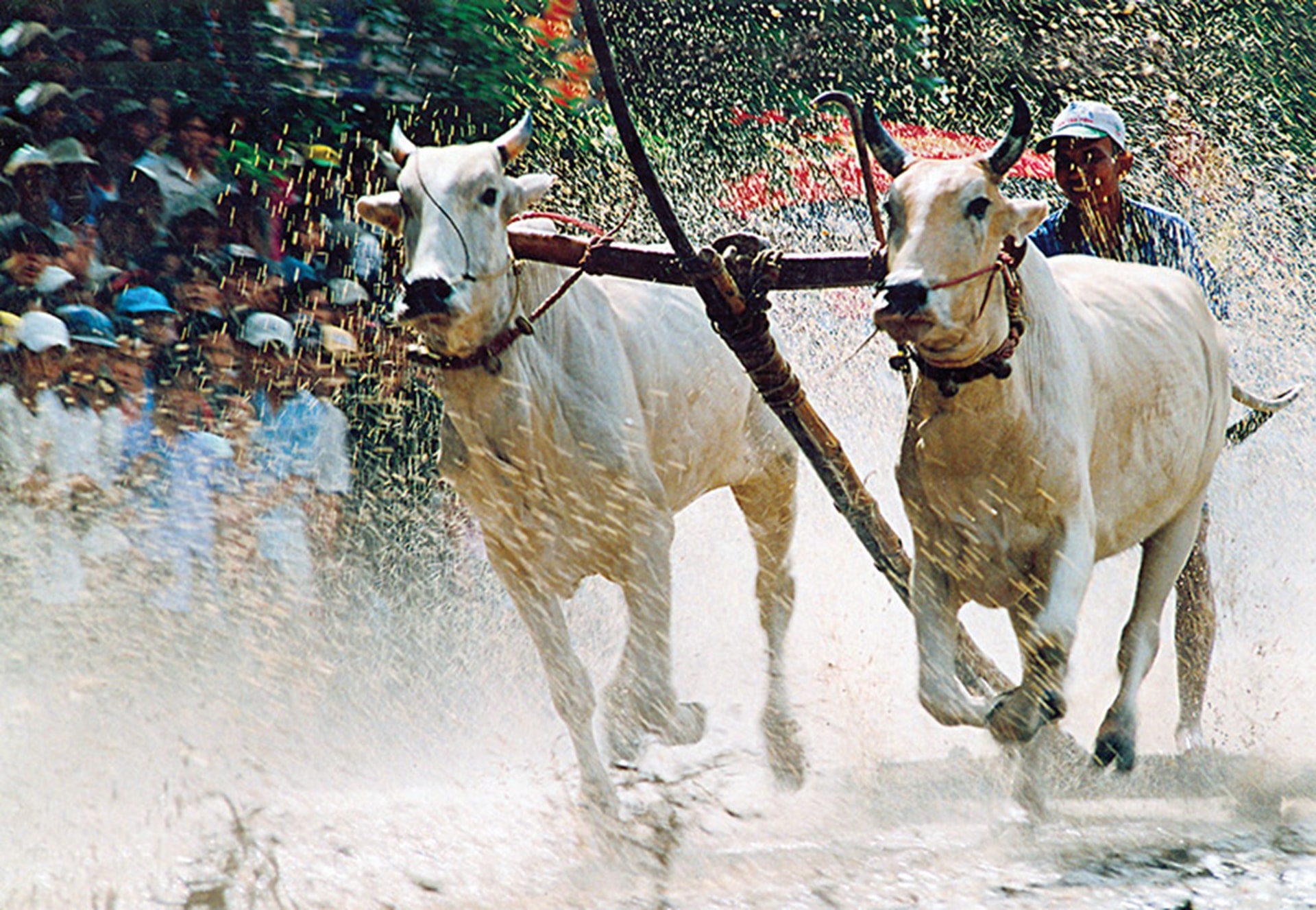 Du lịch An Giang – hành trình đa sắc