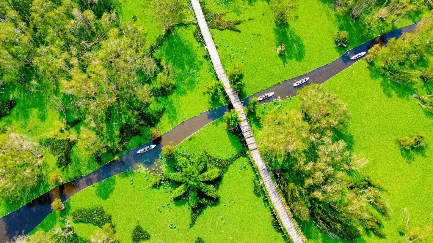 Trà Sư – nơi bảo tồn giá trị xanh