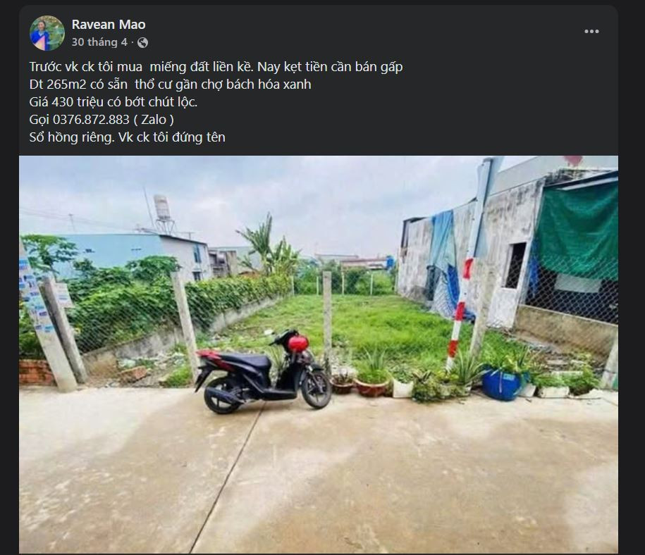 1a.jpg