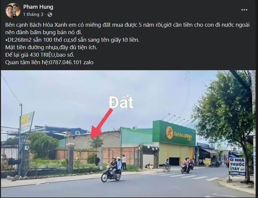 2b.jpg