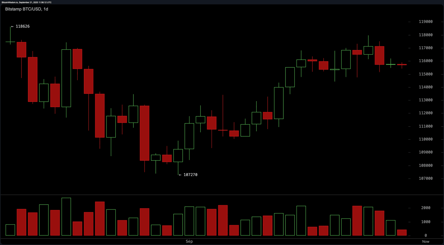 biểu đồ ngày BTC