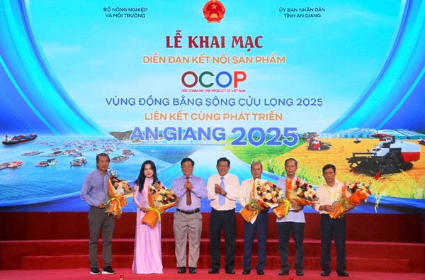 5 diễn5