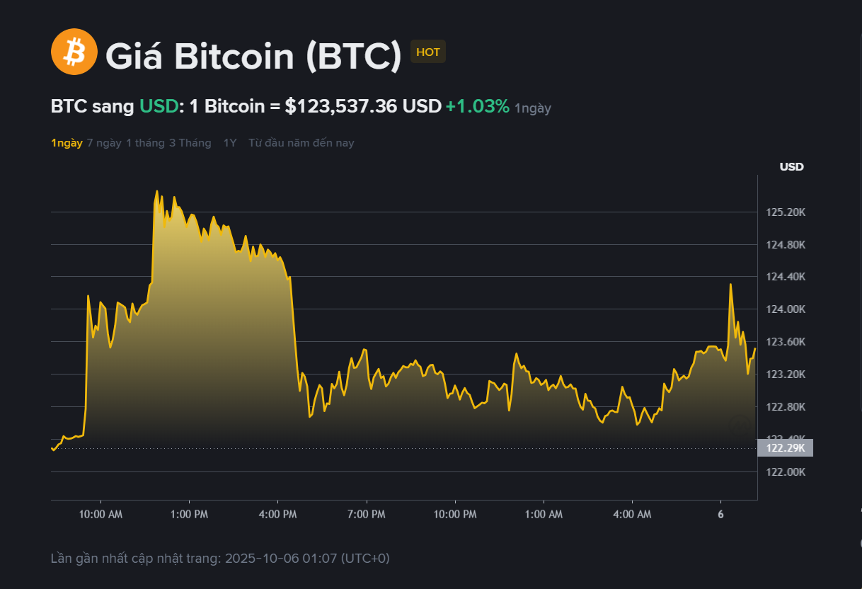 Giá BTC hôm nay 6.102