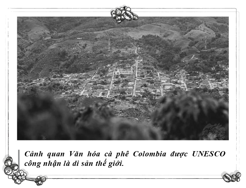 Kỳ 114 - Hình 1