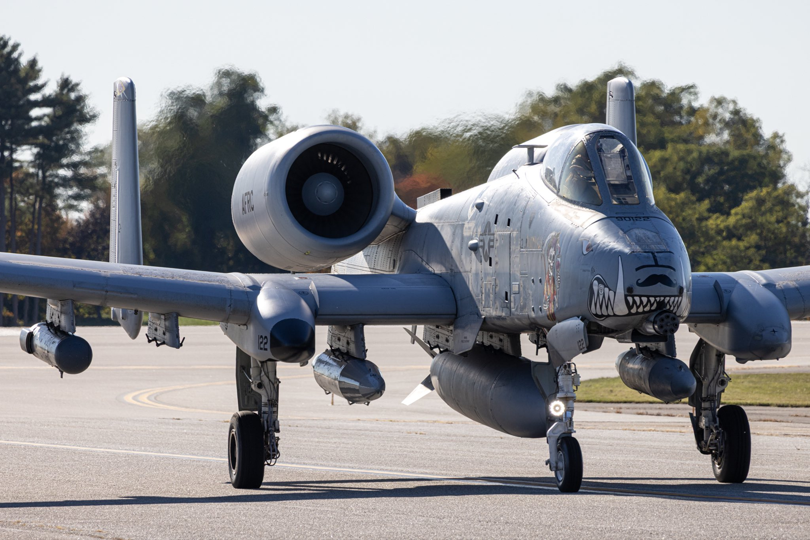 Warhog A-10 22 2 2