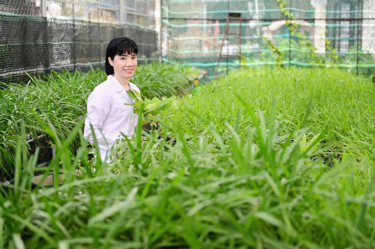 PGS-TS Nguyễn Thị Ái Nhung và mô hình vùng nguyên liệu, Trường đại học Khoa học, Đại học Huế - Ảnh: NVCC