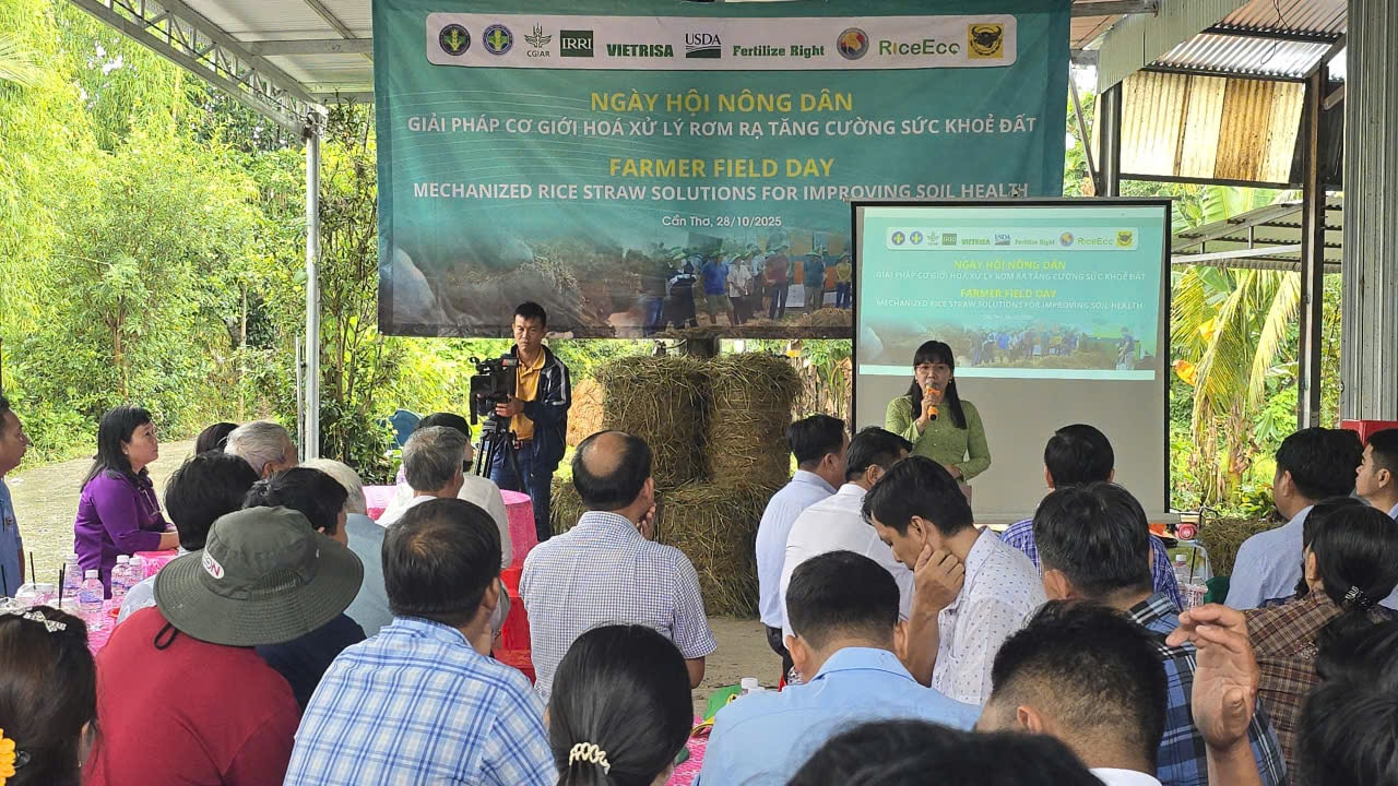 vui 6