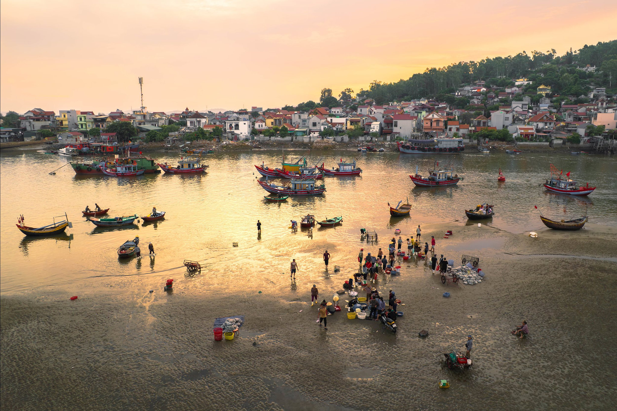 Nhịp thở sớm mai của làng biển