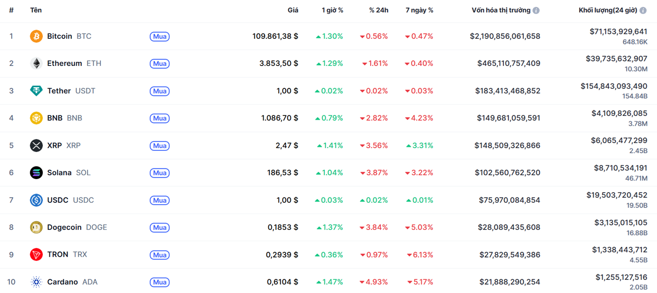 top 10 đông coin 31.10