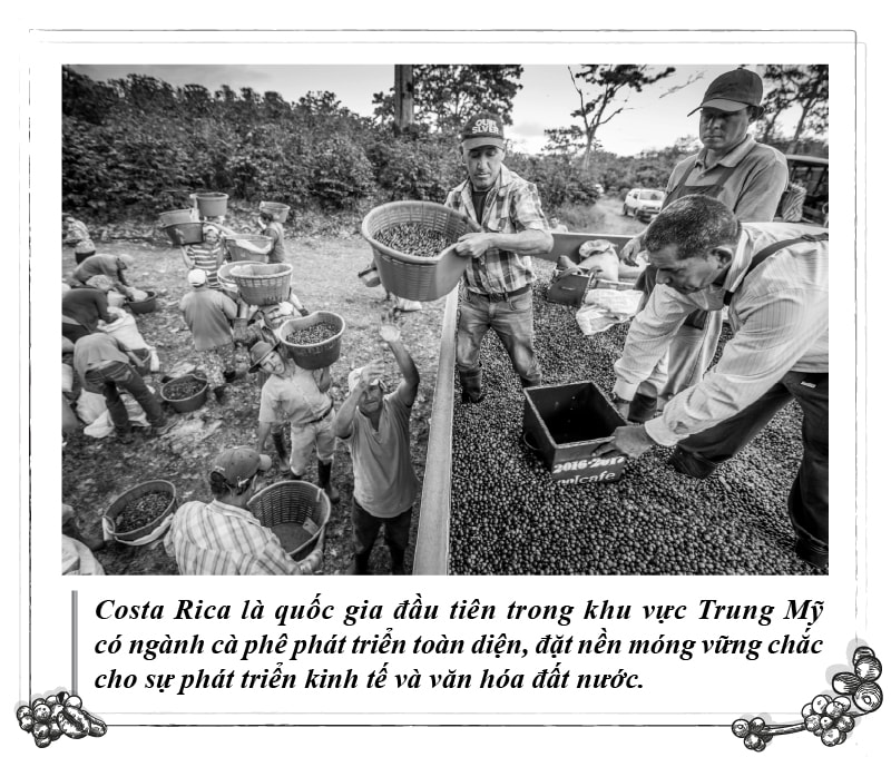 Kỳ 115 - Hình 1