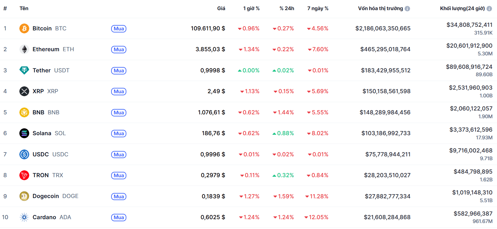 top 10 đông coin 3.11