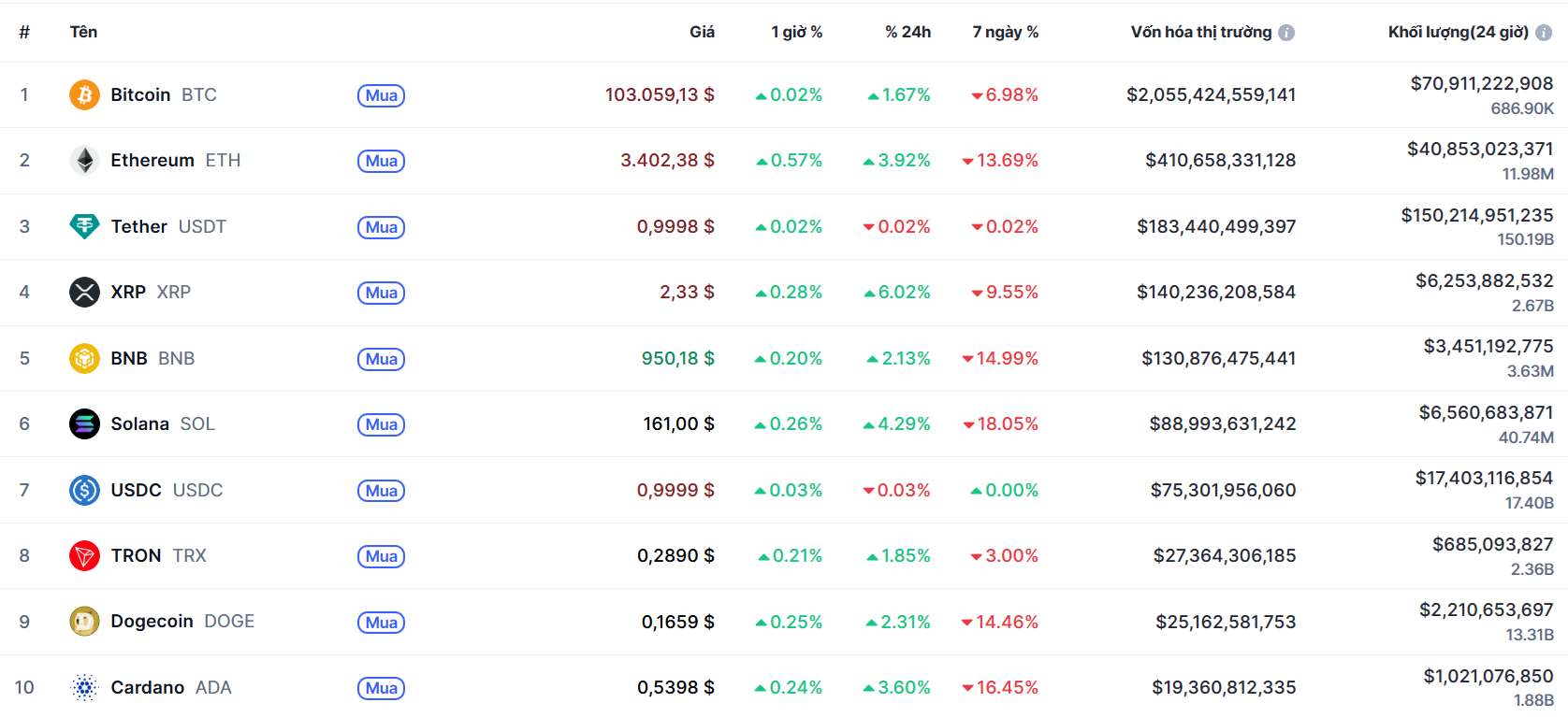 top 10 đông coin 6.11