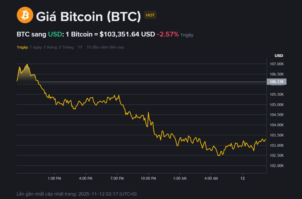 Giá Bitcoin hôm nay 12.11: Dao động quanh 103.000 USD, chuẩn bị bứt phá lớn 