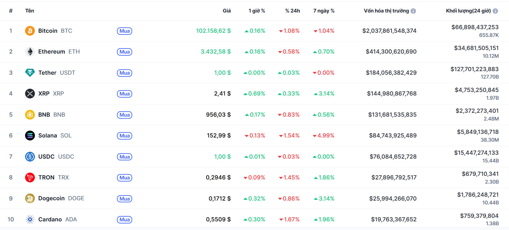 top 10 đông coin 13.11