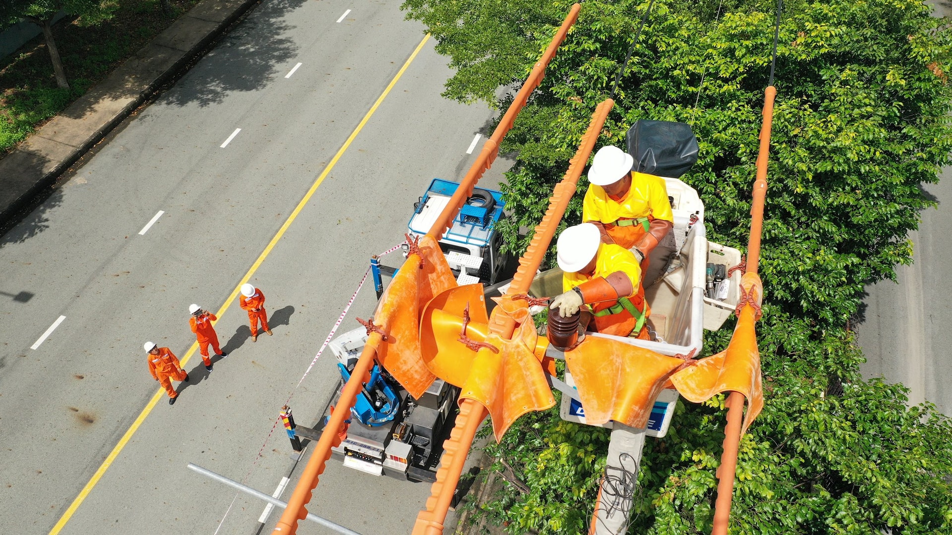 Các Công ty Điện lực thuộc EVNSPC tăng cường thi công holine, nâng cao độ tin cậy cung cấp điện