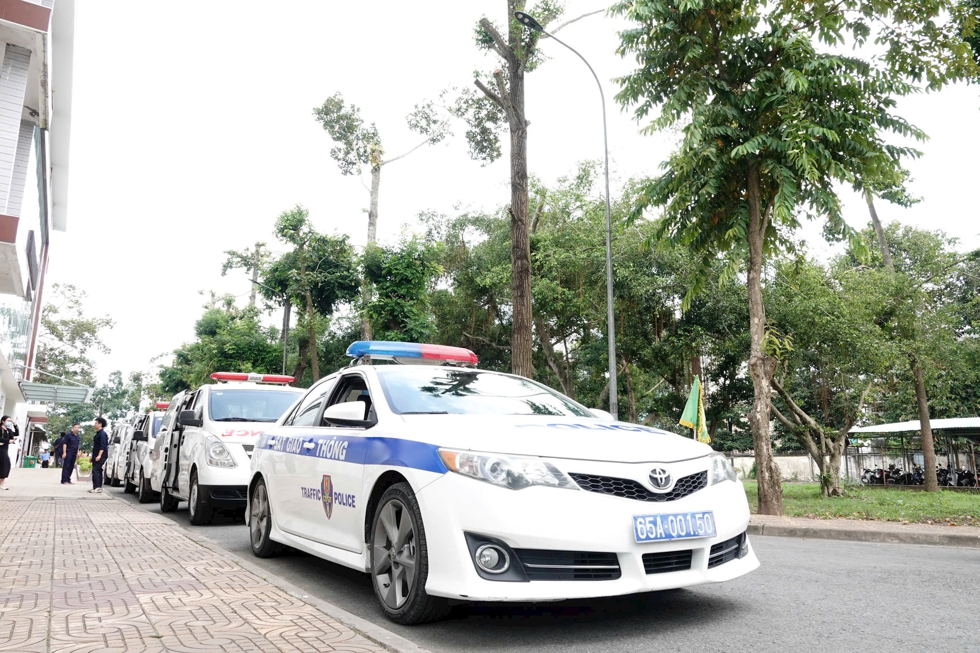 y te 3