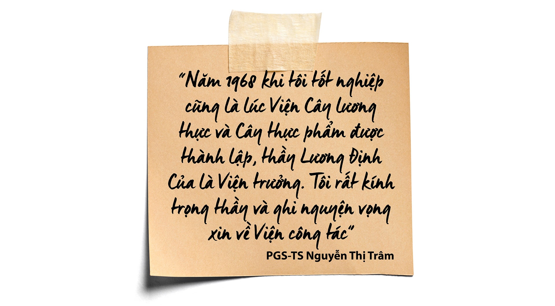 nguyen-thi-tram_11.jpg