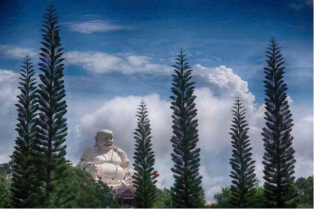 cấm 3