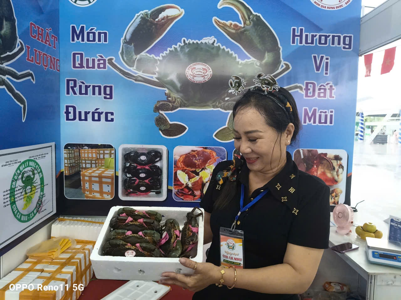 cua CM TQ 6