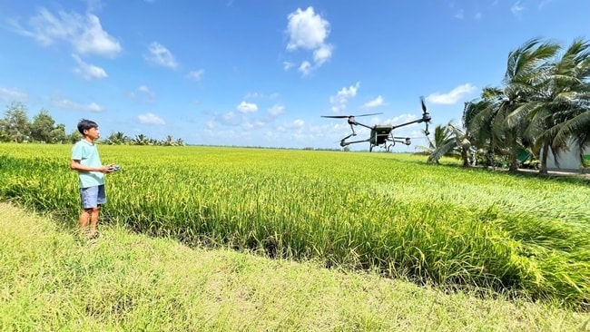 drone.jpg