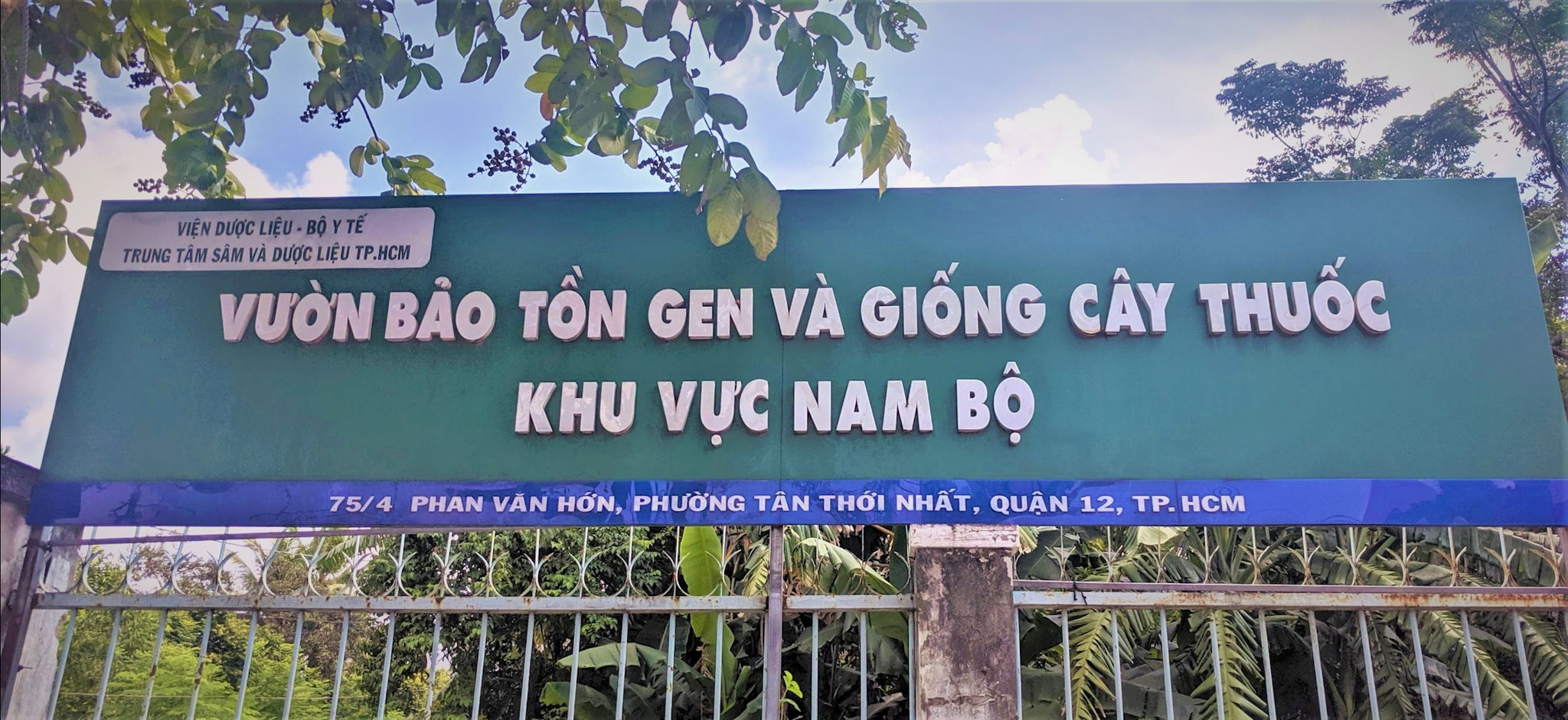 giong 1
