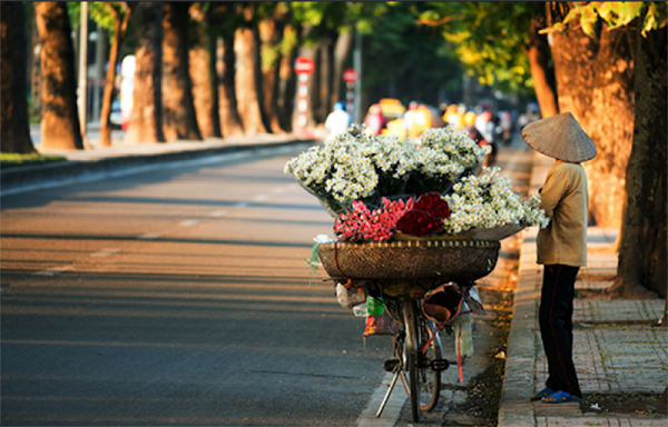 Thời tiết hôm nay 19.12: Hà Nội rét, nắng hanh xen sương mù dày đặc 