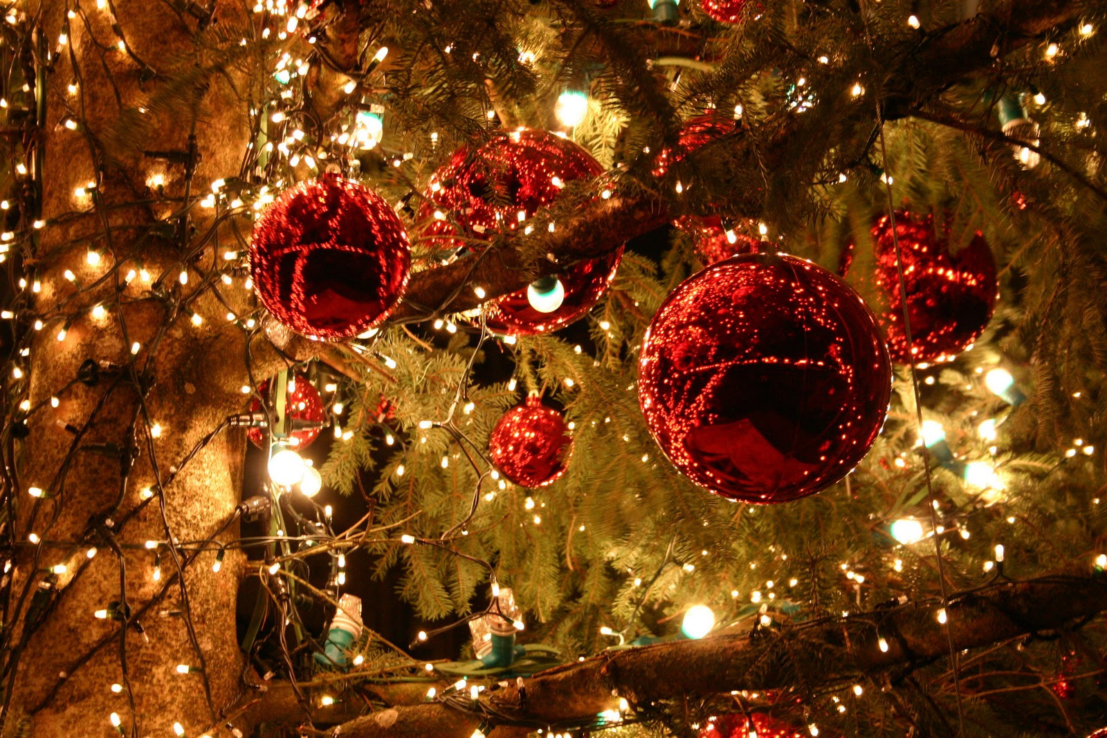hinh-anh-noel-dep-8.jpg