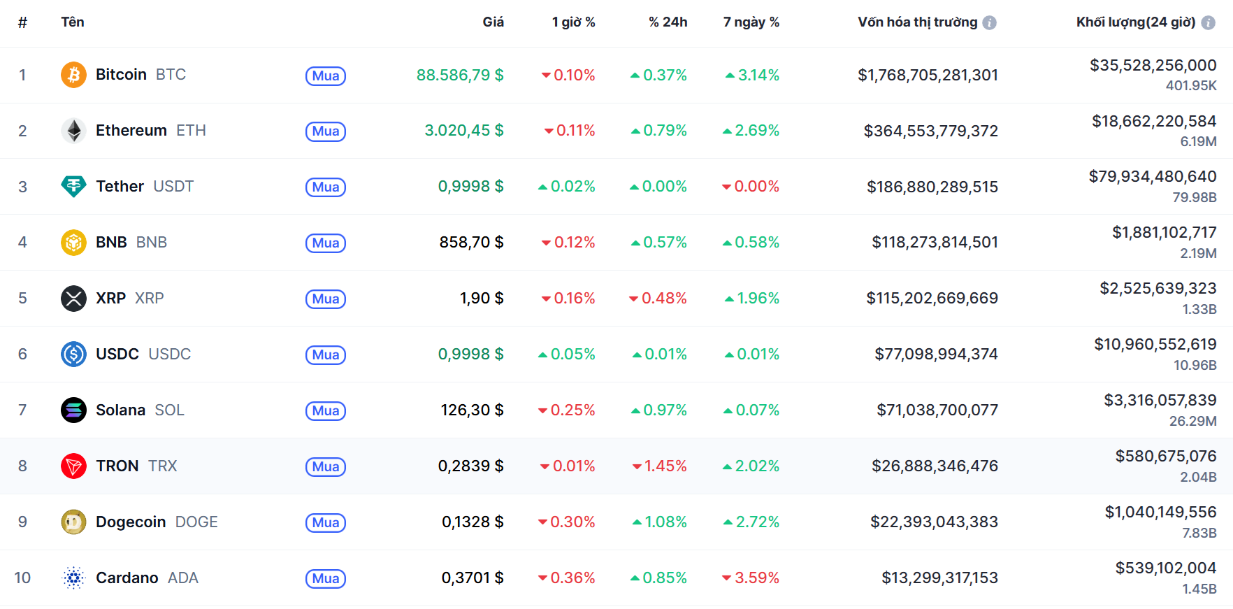 top 10 đông coin