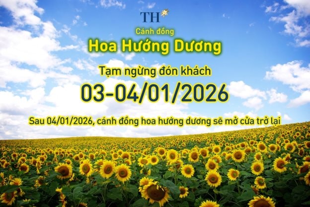 391-202512241317521.jpeg