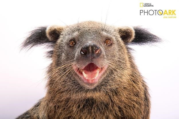 Dấu ấn trên bản đồ bảo tồn thế giới. Ảnh chụp bởi National Geographic, tháng 8.2024.