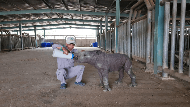 Những phép màu từ “nhà hội sinh” trên đảo, nơi sự sống sinh sôi từng mùa. Ảnh: Vinpearl Safari