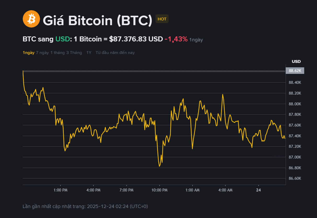 Giá Bitcoin hôm nay 24.12: Dao động quanh 87.000 USD, nguy cơ sụp đổ? 