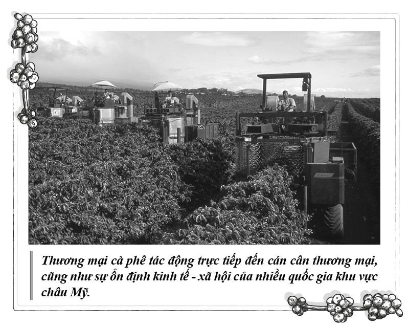 Kỳ 117 - Hình 2