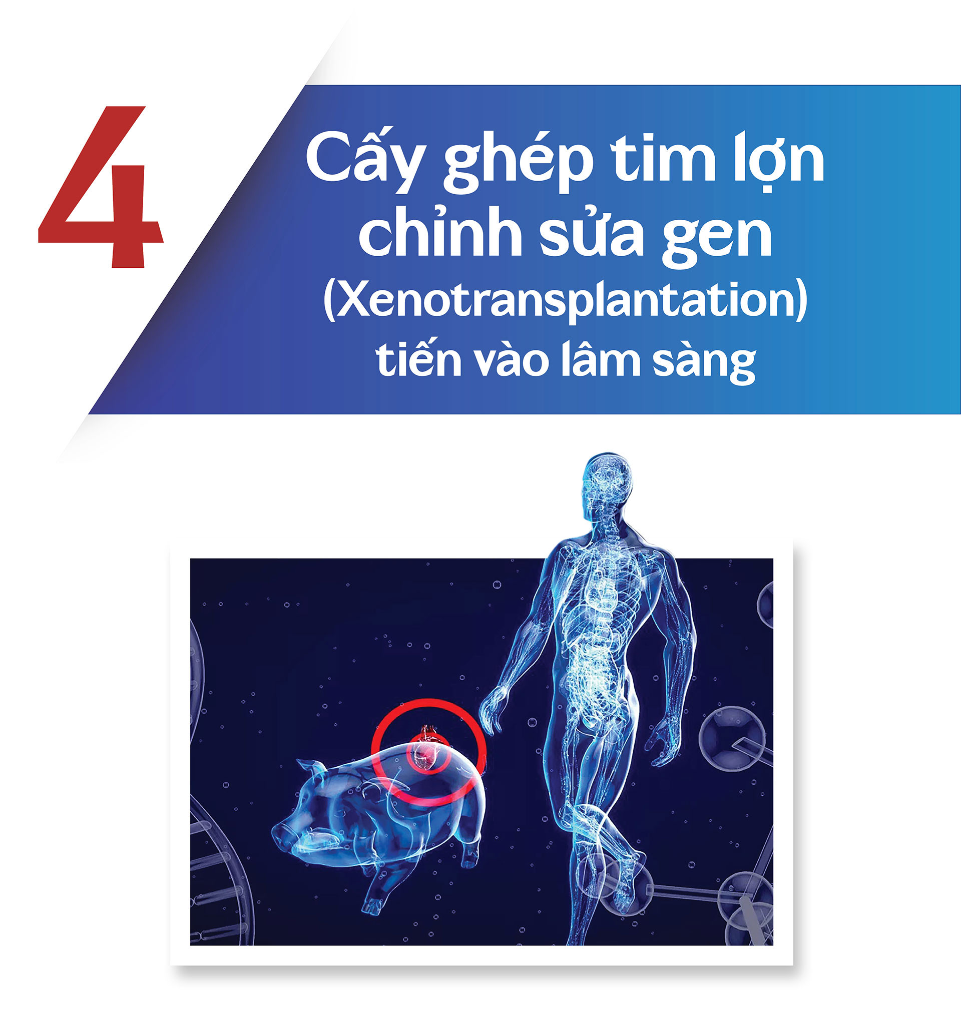 2_02_caygheptim.jpg