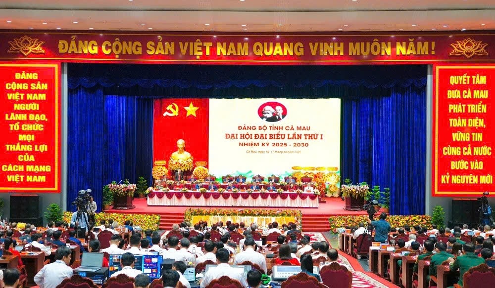 dai hoi dang ca mau 1