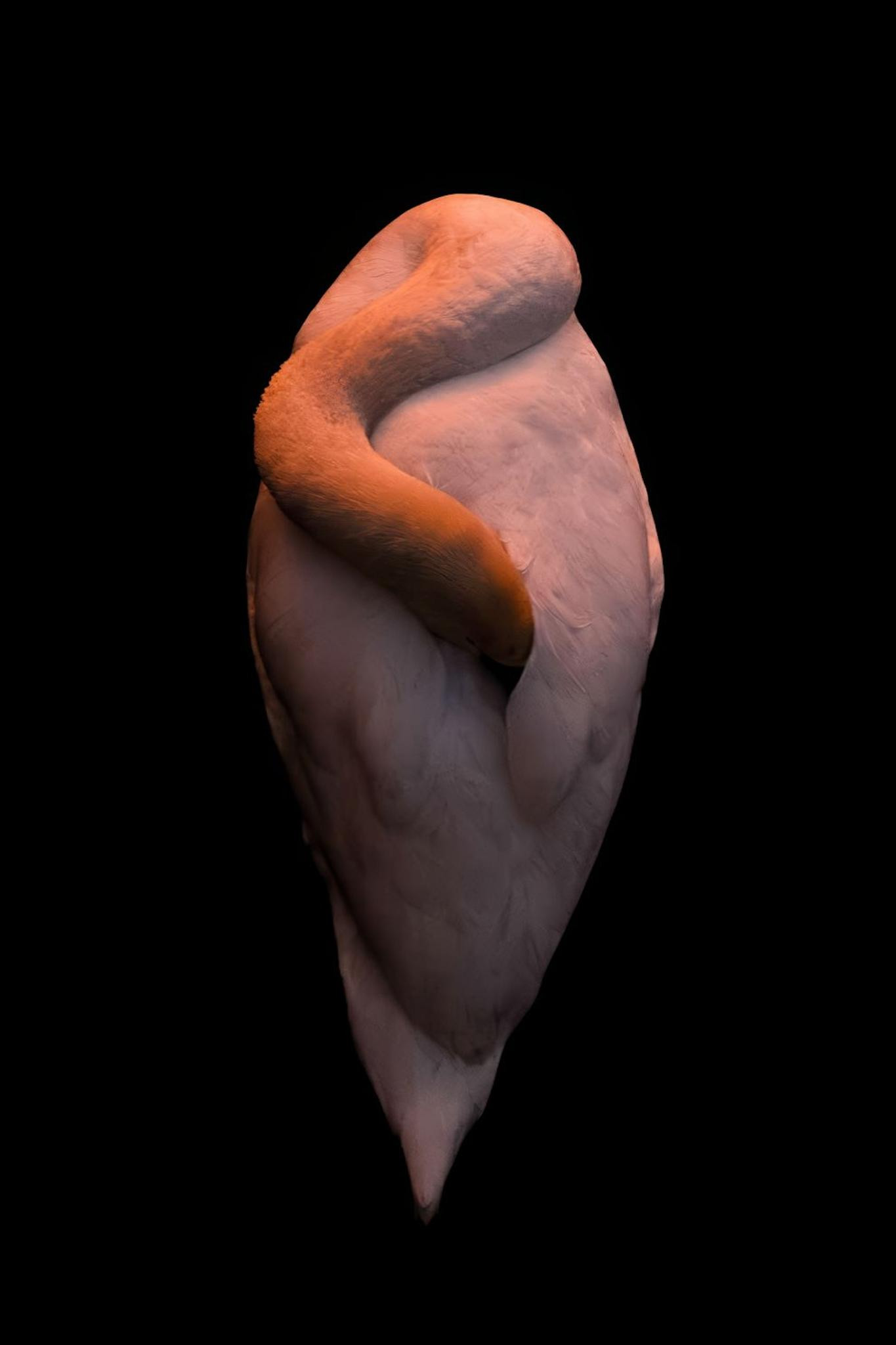 612867032_1277402381089122_6108353009462915226_n.jpg