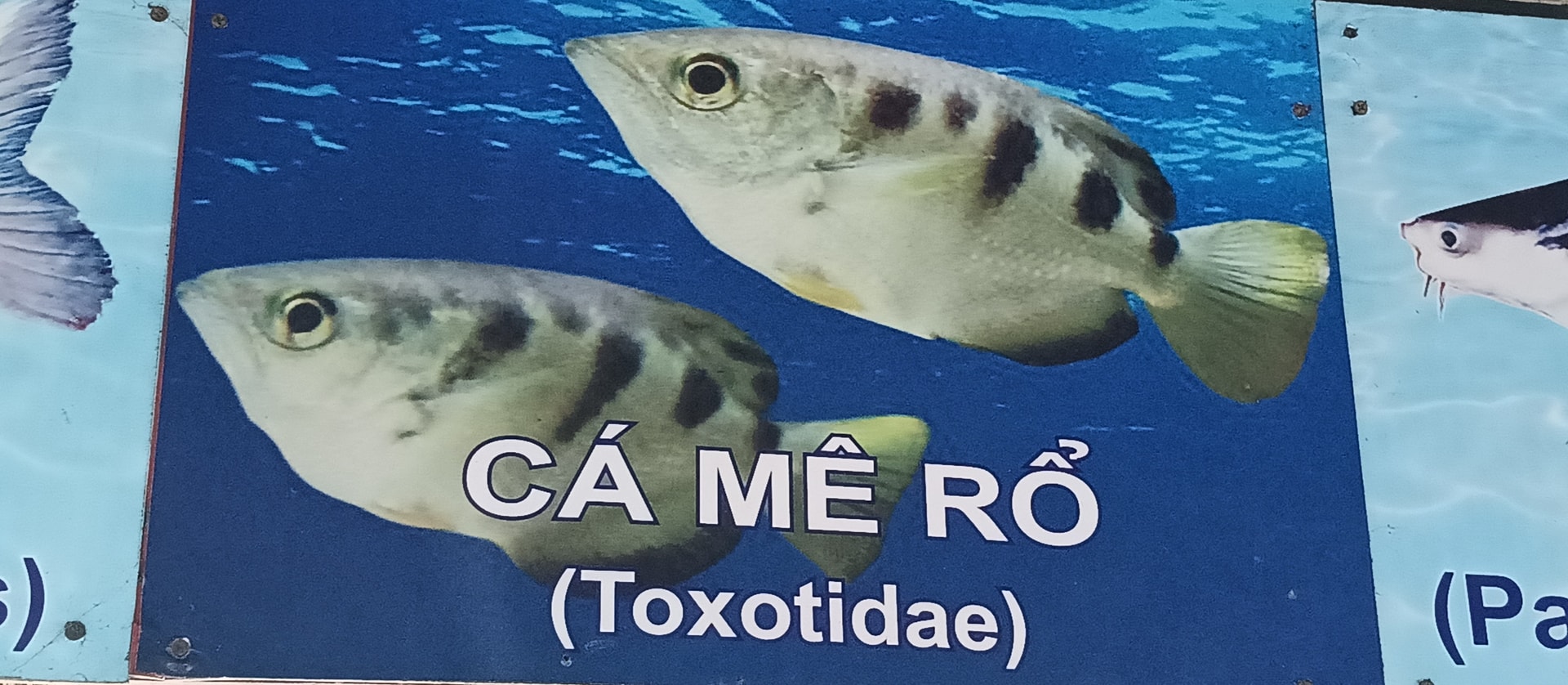 ca mero