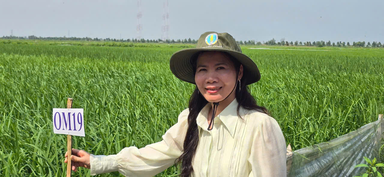 Viện Lúa ĐBSCL: sản xuất 7.000 tấn lúa giống mỗi năm, dùng drone gieo sạ 