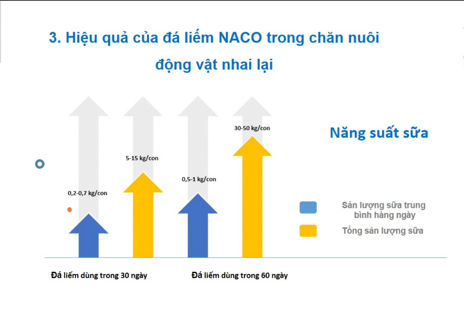 Ảnh màn hình 2026-01-27 lúc 01.06.25