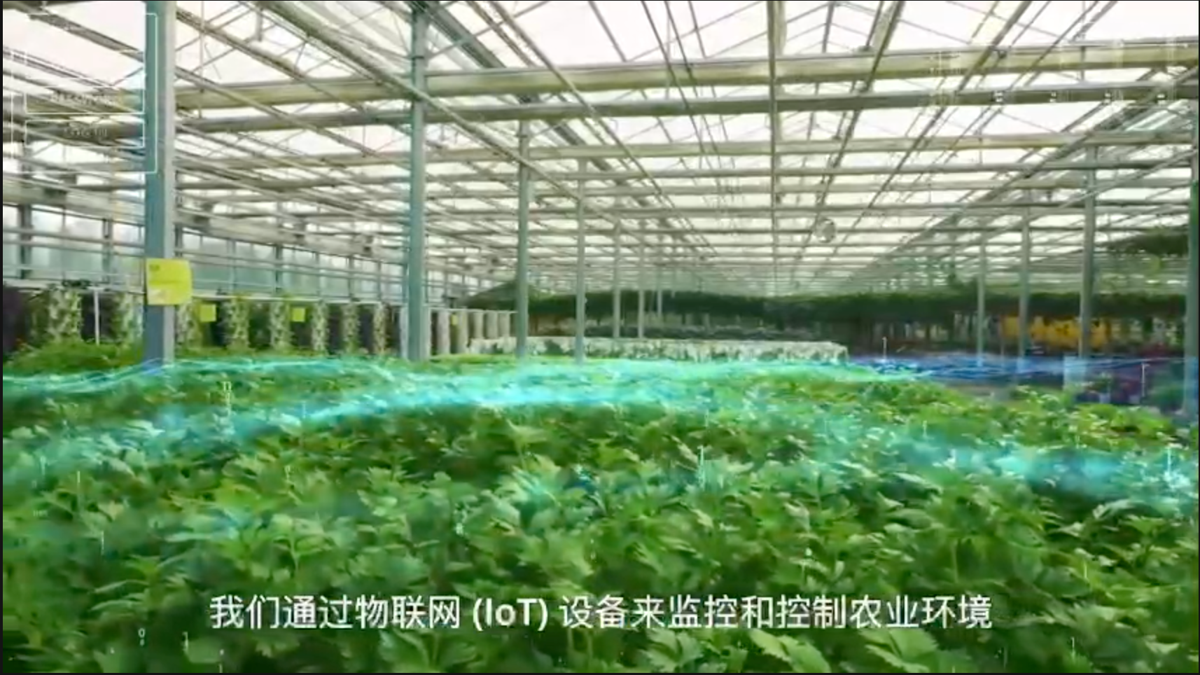 Ảnh màn hình 2026-01-29 lúc 07.00.30