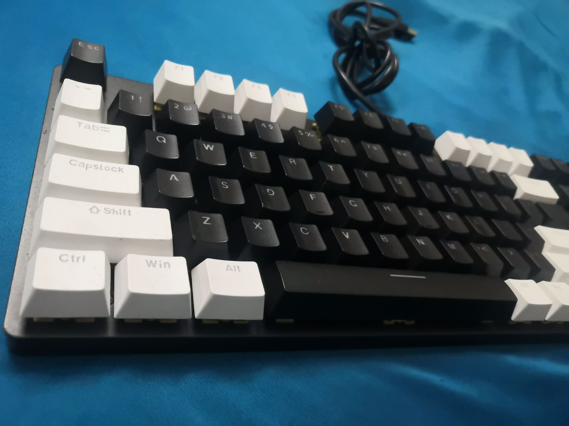 bpc2.jpg